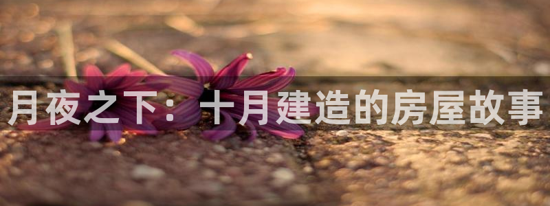 意昂体育3平台APP