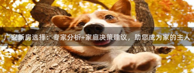 意昂体育3平台假的吗是真的吗吗：广安新房选择：专家分析+家庭决策建议，助您成为家的主人