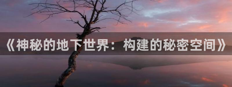 意昂3官网：《神秘的地下世界：构建的秘密空间》