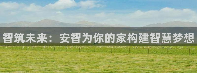 意昂体育3招商：智筑未来：安智为你的家构建智慧梦想