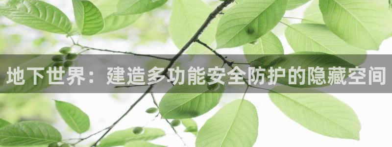 海南意昂体育3发展怎么样：地下世界：建造多功能安全防护的隐藏空间