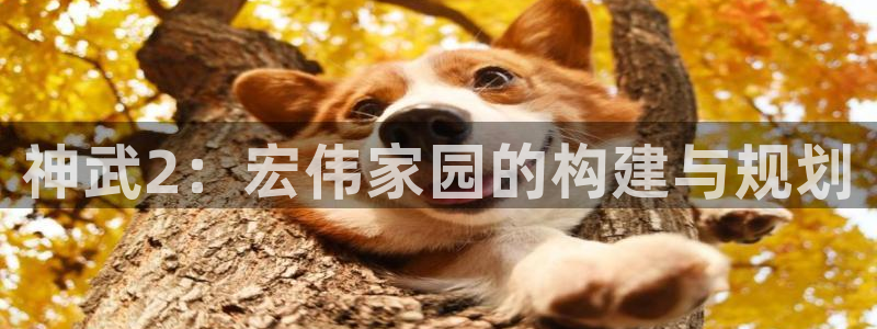 意昂3娱乐平台：神武2：宏伟家园的构建与规划
