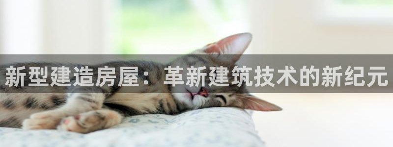 意昂3娱乐首页网站大全：新型建造房屋：革新建筑技术的新纪元