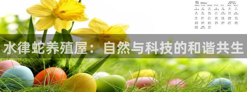 意昂平台体育：水律蛇养殖屋：自然与科技的和谐共生
