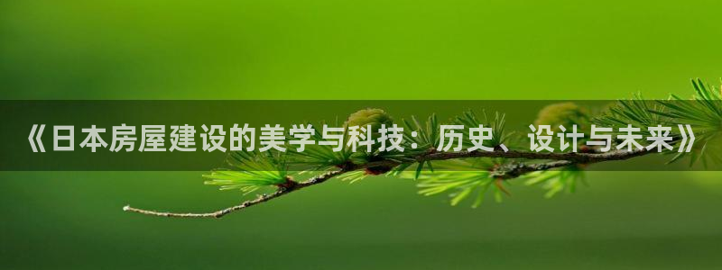 意昂3娱乐首页网站大全：《日本房屋建设的美学与科技：历史、设计与未来》