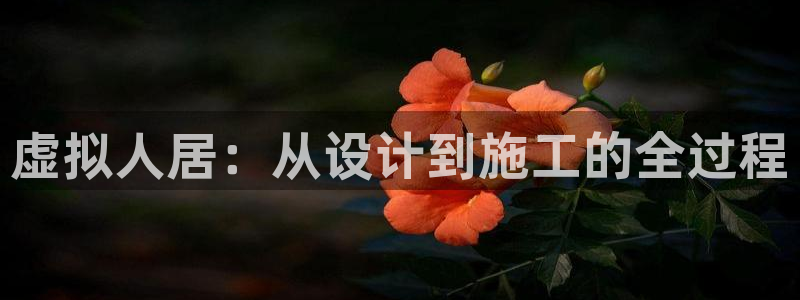 意昂体育3招商电话地址查询：虚拟人居：从设计到施工的全过程