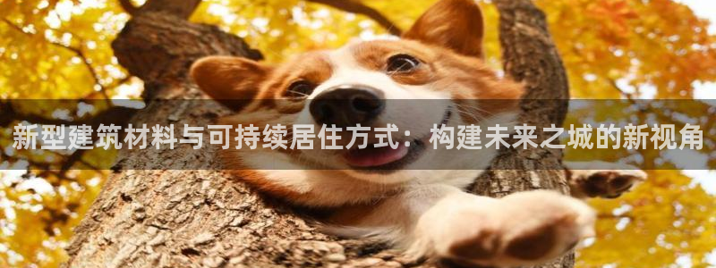 意昂体育3平台是正规平台吗：新型建筑材料与可持续居住方式：构建未来之城的新视角