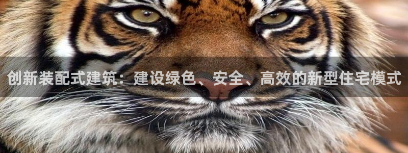 意昂3娱乐平台：创新装配式建筑：建设绿色、安全、高效的新型住宅模式