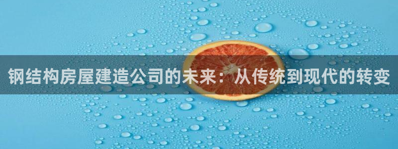 意昂平台体育：钢结构房屋建造公司的未来：从传统到现代的转变