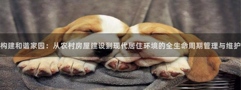 意昂体育3平台：构建和谐家园：从农村房屋建设到现代居住环境的全生命周期管理与维护