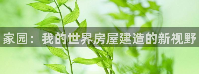 意昂3神州：家园：我的世界房屋建造的新视野