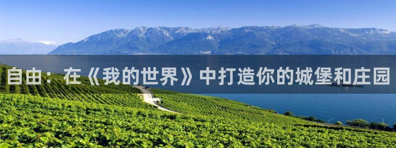 意昂体育3娱乐：自由：在《我的世界》中打造你的城堡和庄园
