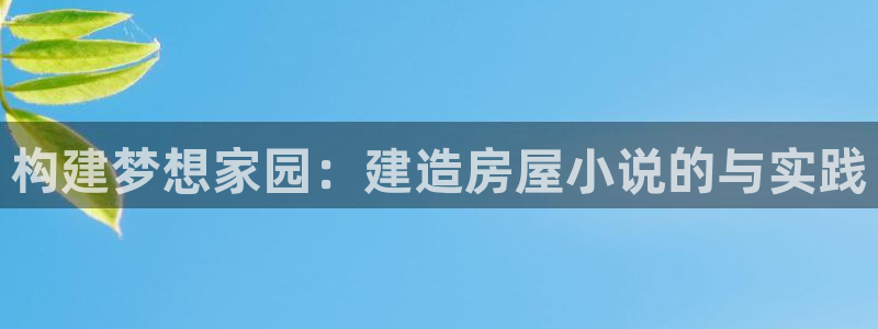 意昂体育3平台是正规平台吗安全吗：构建梦想家园：建造房屋小说的与实践