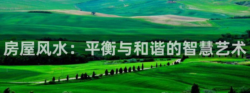 意昂3集团E.ON：房屋风水：平衡与和谐的智慧艺术