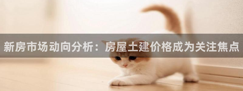 意昂体育3平台注册要钱吗是真的吗：新房市场动向分析：房屋土建价格成为关注焦点