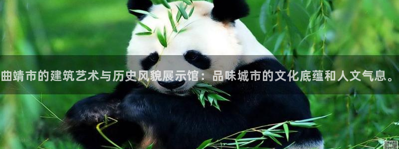意昂体育3平台注册流程视频：曲靖市的建筑艺术与历史风貌展示馆：品味城市的文化底蕴和人文气息。
