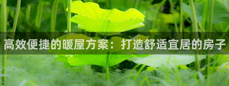 意昂体育3平台是正规平台吗：高效便捷的暖屋方案：打造舒适宜居的房子