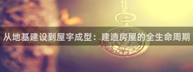 意昂体育3招商电话号码：从地基建设到屋宇成型：建造房屋的全生命周期