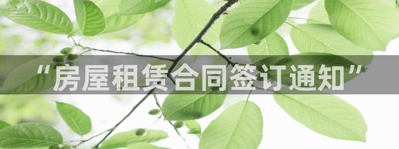 意昂3集团官网首页：“房屋租赁合同签订通知”