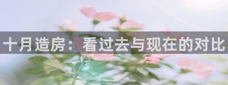 意昂3官网：十月造房：看过去与现在的对比