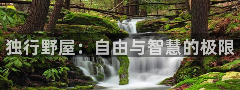 意昂体育3平台是正规平台吗安全吗：独行野屋：自由与智慧的极限