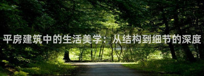 海南意昂体育3发展怎么样：平房建筑中的生活美学：从结构到细节的深度