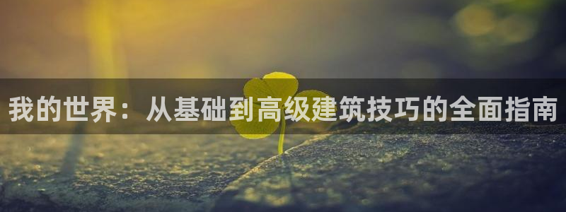 意昂体育3娱乐：我的世界：从基础到高级建筑技巧的全面指南