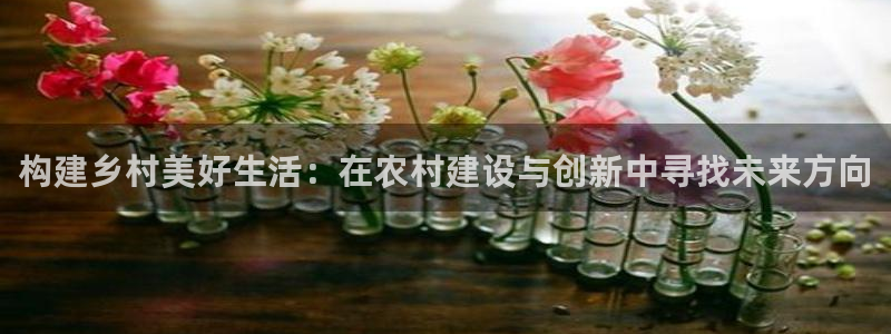 意昂3娱乐首页官网下载：构建乡村美好生活：在农村建设与创新中寻找未来方向