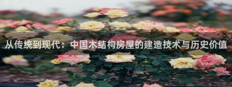 意昂3娱乐首页官网下载：从传统到现代：中国木结构房屋的建造技术与历史价值