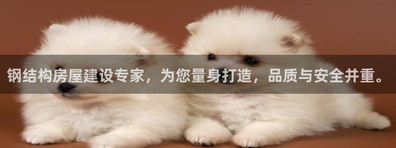 意昂3科技：钢结构房屋建设专家，为您量身打造，品质与安全并重。