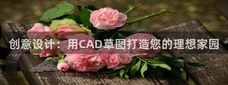 意昂体育3娱乐：创意设计：用CAD草图打造您的理想家园