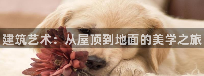 意昂3新能源：建筑艺术：从屋顶到地面的美学之旅