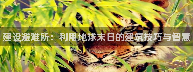 意昂3集团E.ON：建设避难所：利用地球末日的建筑技巧与智慧