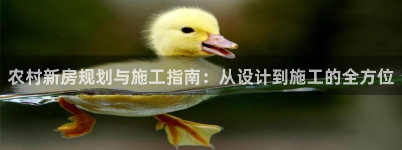 意昂3娱乐网站