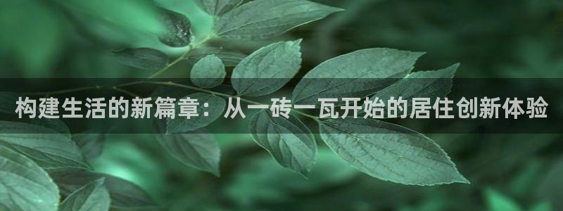 意昂体育3招商电话是多少号码：构建生活的新篇章：从一砖一瓦开始的居住创新体验