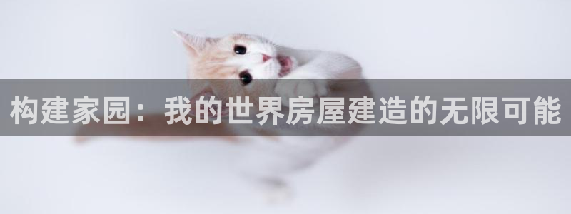 意昂体育3注册：构建家园：我的世界房屋建造的无限可能
