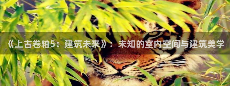 意昂3集团E.ON