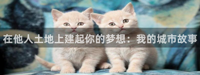 意昂体育3官方客服电话：在他人土地上建起你的梦想：我的城市故事