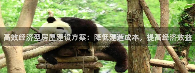 意昂3代理：高效经济型房屋建设方案：降低建造成本，提高经济效益