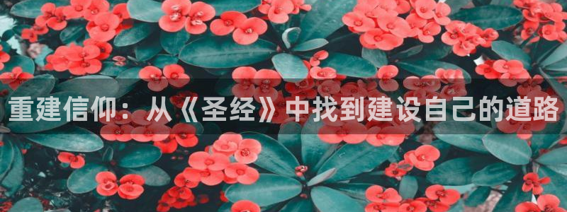 意昂3集团官网首页网址：重建信仰：从《圣经》中找到建设自己的道路