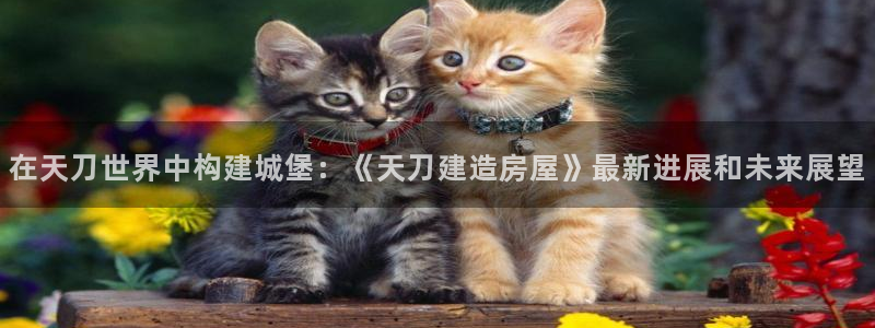 意昂3集团官网网址：在天刀世界中构建城堡：《天刀建造房屋》最新进展和未来展望