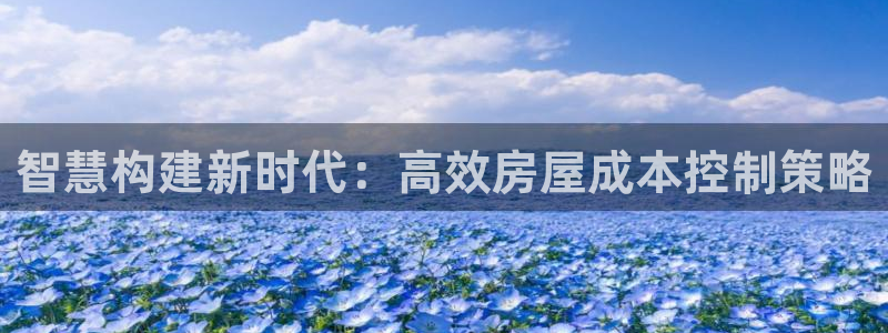 意昂3娱乐网站：智慧构建新时代：高效房屋成本控制策略