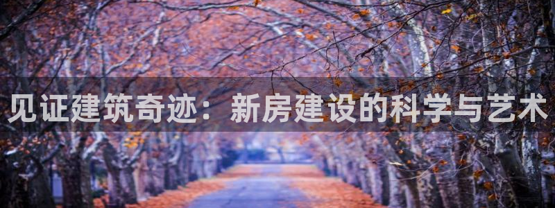 意昂3娱乐代理怎么样：见证建筑奇迹：新房建设的科学与艺术