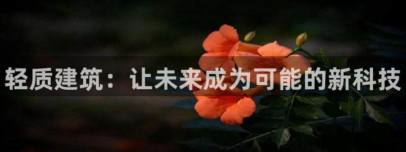 意昂3官网：轻质建筑：让未来成为可能的新科技
