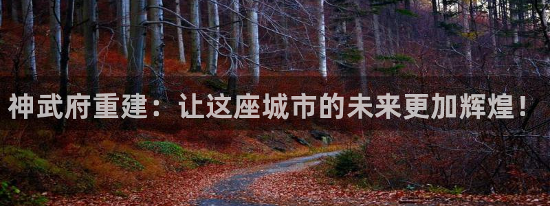 意昂体育3软件：神武府重建：让这座城市的未来更加辉煌！