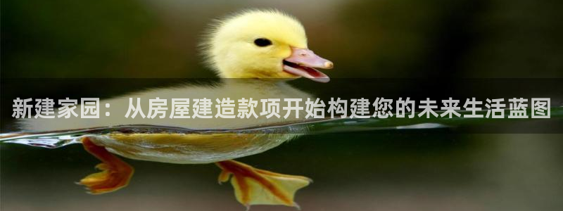 意昂体育3招商电话号码是多少啊：新建家园：从房屋建造款项开始构建您的未来生活蓝图