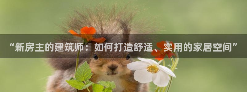意昂3新能源：“新房主的建筑师：如何打造舒适、实用的家居空间”