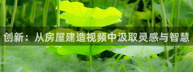 意昂3新能源：创新：从房屋建造视频中汲取灵感与智慧