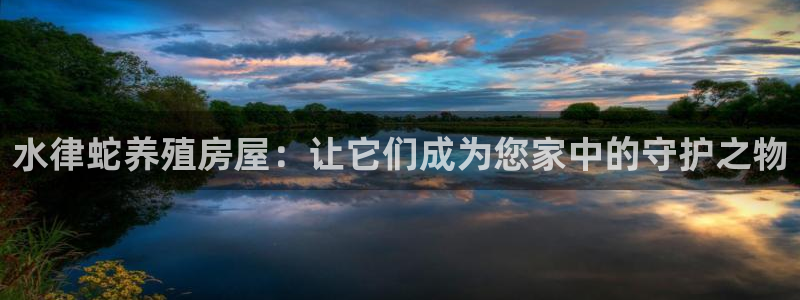 意昂体育3开户：水律蛇养殖房屋：让它们成为您家中的守护之物