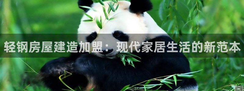 意昂体育3是干嘛的公司：轻钢房屋建造加盟：现代家居生活的新范本